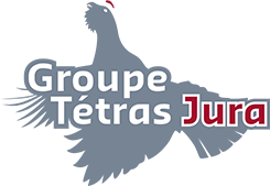 logo GTJ
