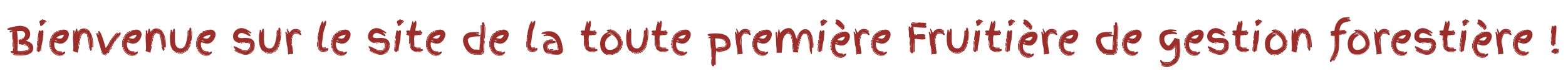 bienvenue