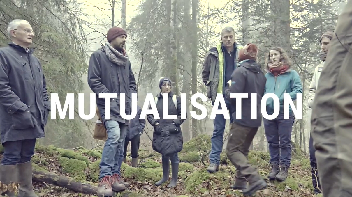 video morvan