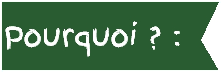 assurance pourquoi