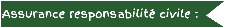 assurance resposabilité civile